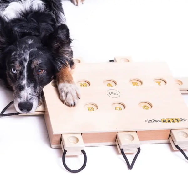 My Intelligent Dogs iPet