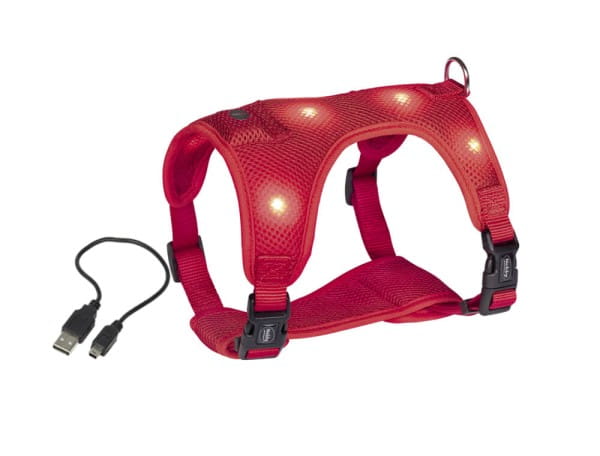 Nobby Geschirr "FLASH MESH"