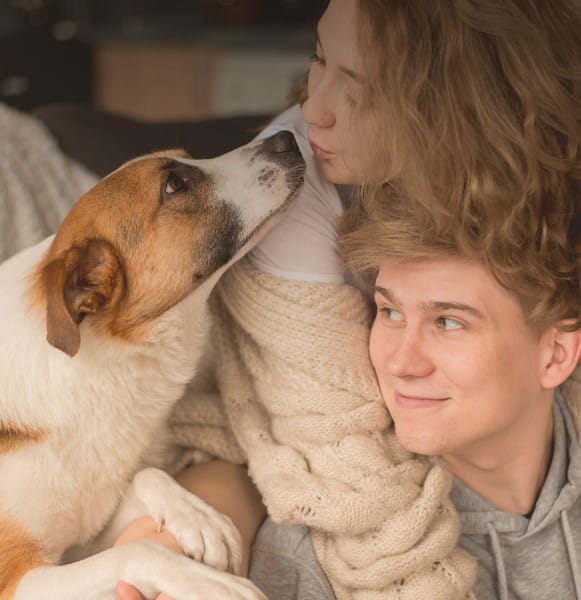 stress_insta_blog_tierliebe
