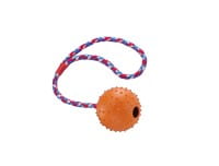 Nobby Rubber Line Ball mit Glocke und Seil