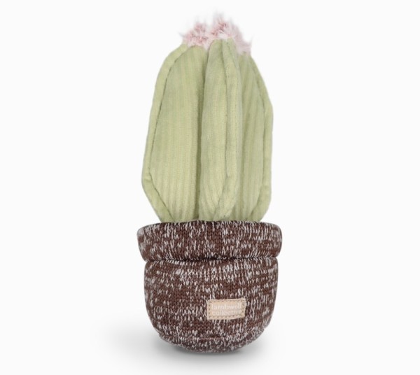 Lambwolf Collective Kaktus