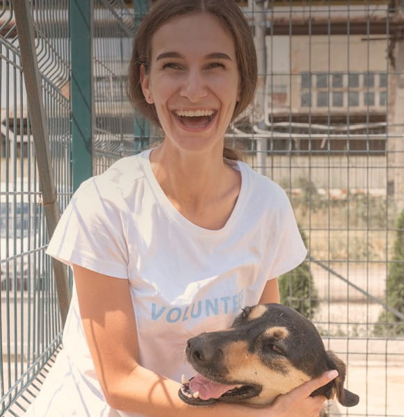 tierliebe_BLOG_tierschutz_orga