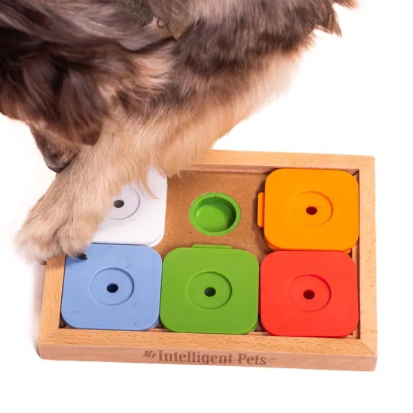 My Intelligent Dogs Sudoku, medium, Fortgeschritten, Farbe