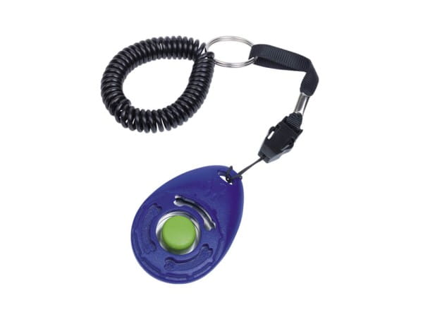 Clicker, 1St.