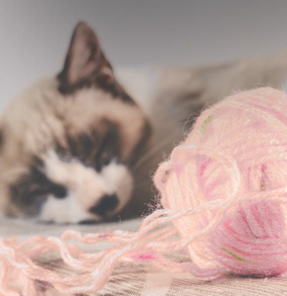 tierliebe_BLOG_diy-spielzeug