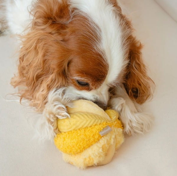 Lambwolf Collective Toto, klein, gelb