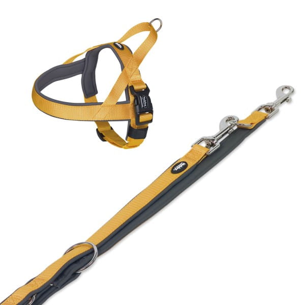 Hundegeschirr und Leine Set "Classic Preno", orange/grau, M-L