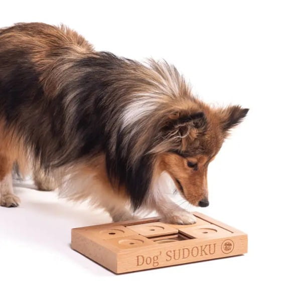 My Intelligent Dogs Sudoku, klein, Fortgeschritten, natur
